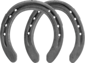 Eventer Plus Clip