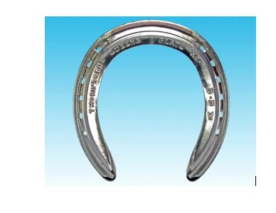 Thoro'Bred Wide Web Queens XT