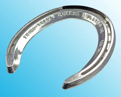 Thoro'Bred Wide Web Queens XT Side Clip